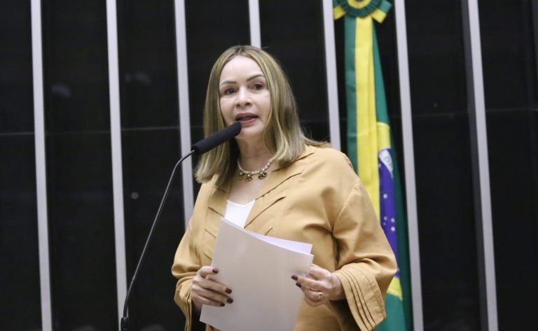 Kayo Magalhães/Câmara dos Deputados - Socorro Neri, relatora do projeto - Fonte: Agência Câmara de Notícias